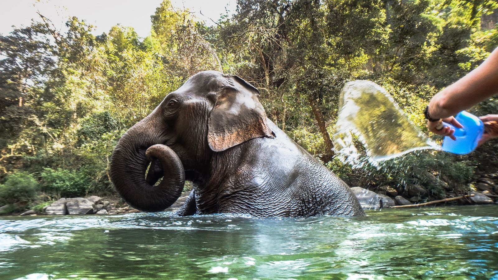 Face à la canicule : comment le Zoo de Rabat protège ses animaux ?