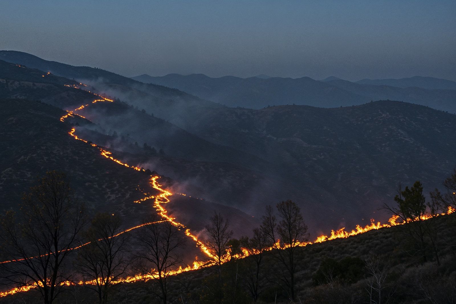 Nord du Maroc en alerte rouge : les forêts sous haute menace
